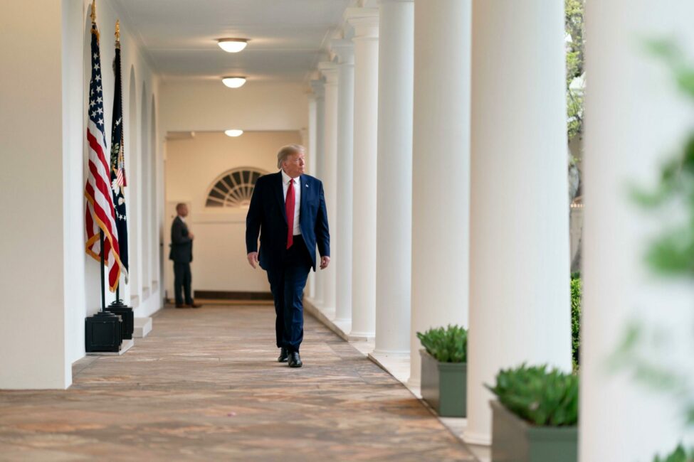 Tucker‚ Bannon‚ and Miller: Could this be Trump’s prospective 2025 cabinet?
