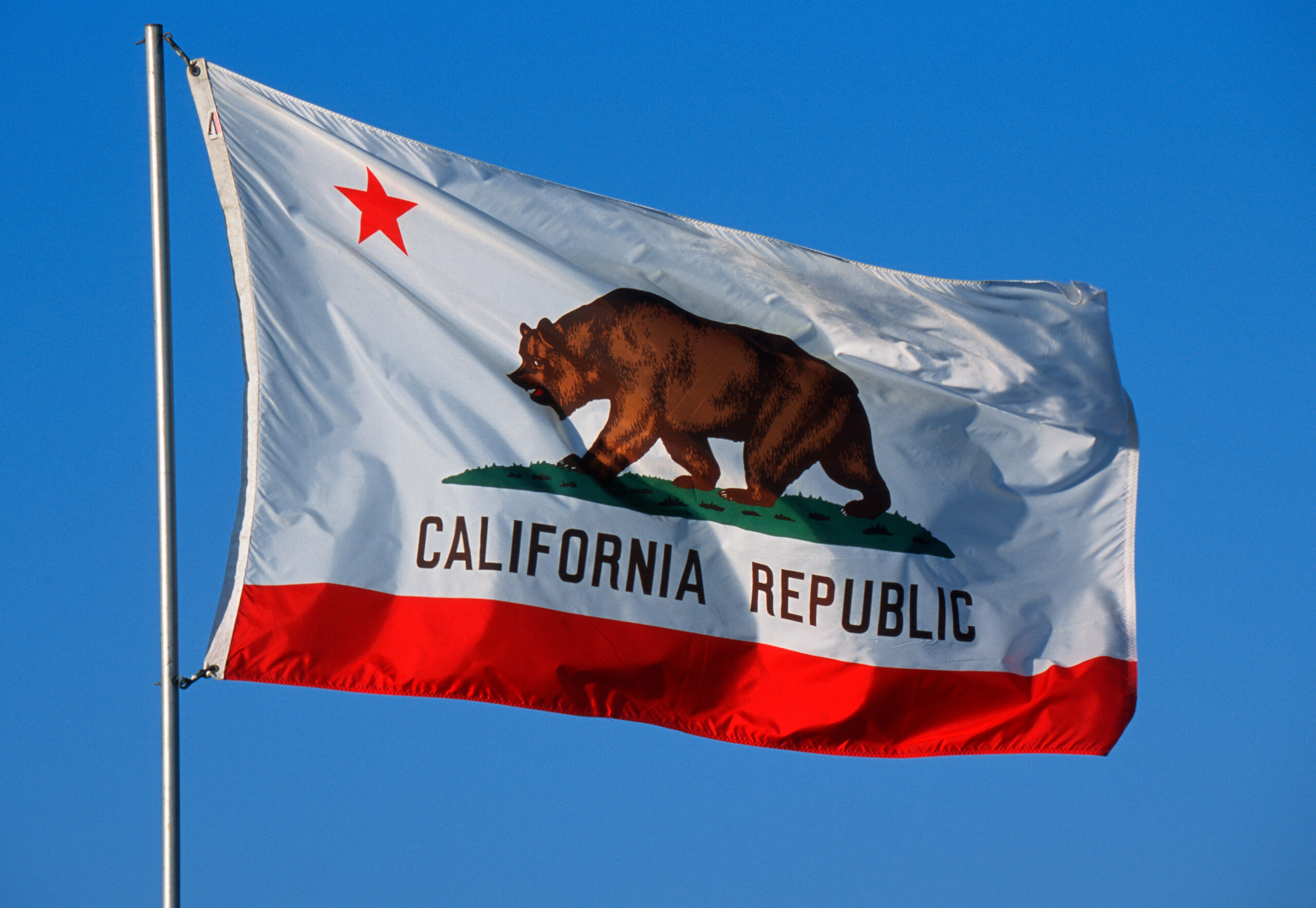 Trump says he ‘would win California’ if state’s elections were not ‘so corrupt’