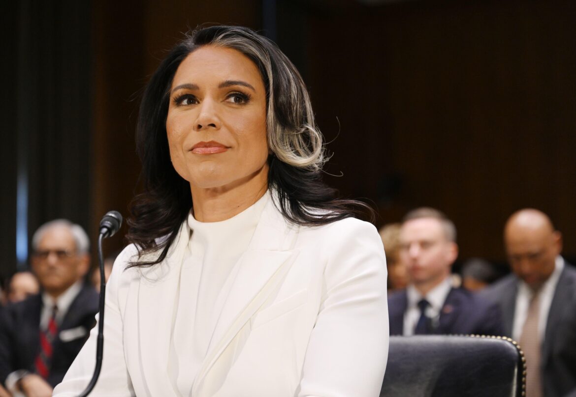 Senate confirms tulsi gabbard as director of national intelligence
